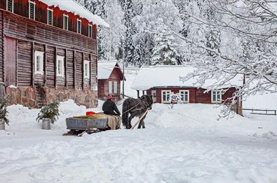 Pferd mit Schlitten auf dem Hofplatz auf Piltingsrud im Schnee.