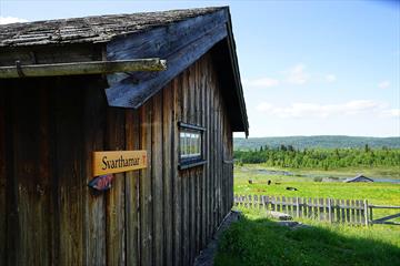 Svarthamar DNT-hytte en sommerdag