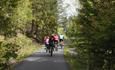Valdresbanevegen leder gjennom skogholt og langs enger og vann. Her er syklister er underveis gjennom skogen.