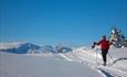 A cross-country skier in a freshly groomed trail at the tree line with mountains in the background