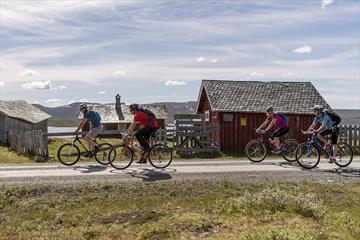 Cycling along Jotunheimvegen - a part of Mjølkevegen