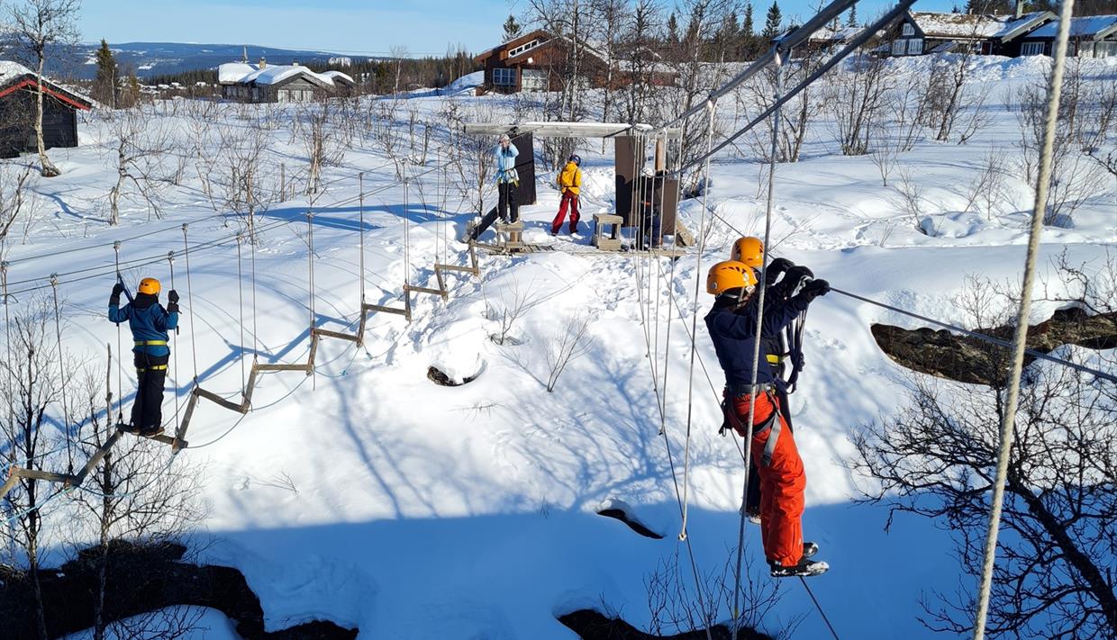 Product Image Product Image