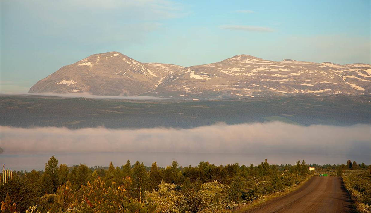 Am Panoramavegen mit dem Skogshorn im Hintergrund.