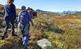 Frauen auf einer Wanderung im baumlosen Fjell mit Bergen im Hintergrund
