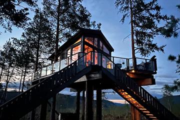 Tree top cabin during sunset
