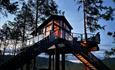 Tree top cabin during sunset
