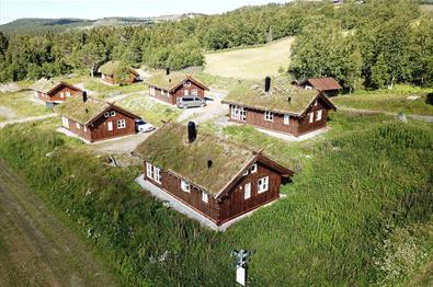 6 traditional wooden cabins with grass roof surrounded by lush birch forest and meadow.