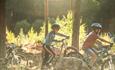 Jungs auf MTBs auf dem Weg zum Trail im Wald an der Valdres Storhall in Leira