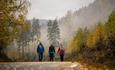 Drei Personen gehen auf einer Straße spazieren, auf der Herbstlaub liegt, umgeben von herbstgefärbten Bäumen und Nebelschwaden.