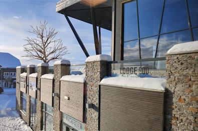 Moderne toetasjers bygg av glass, tre og stein med takterrasse.