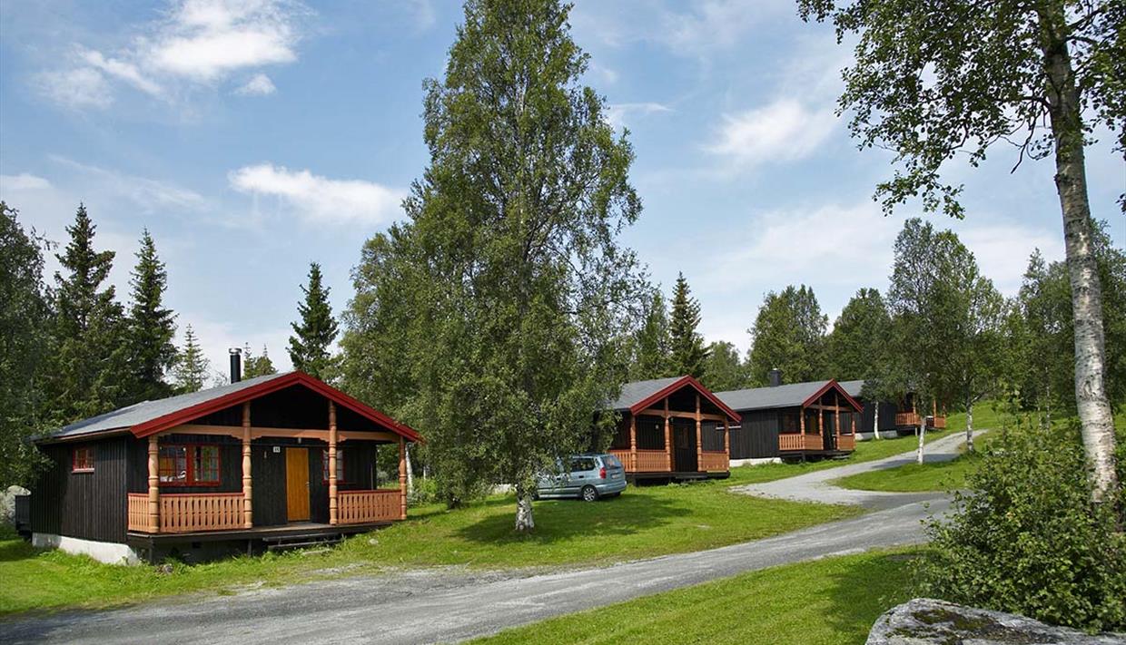 Knuts Hyttegrend, Beitostølen, Valdres, Norwegen