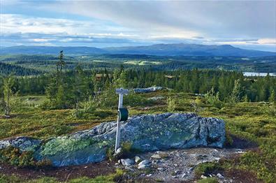 View from Vardafjell over vast low mountain landscape with spruce forests and lakes to Synnfjell.