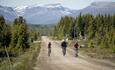 Three cyclists on a broad farming road through open spruce forest with mighty mountains in the background. Mjølkevegen at Furuset.