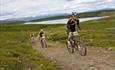 Mountain bikers on a track over the high plateau Syndisfjellet. In the background Jotunheimens peaks can be seen.
