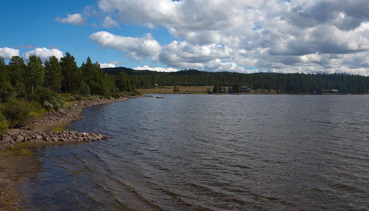 Lake Ølsjøen in Tisleidalen is a good fishing lake.