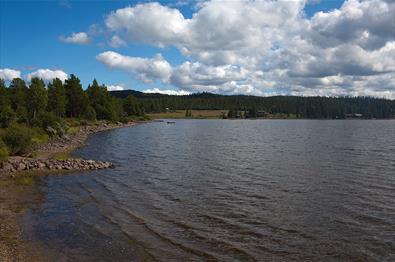 Lake Ølsjøen in Tisleidalen is a good fishing lake.