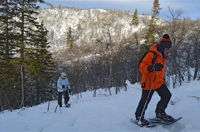 Beitostølen Aktiv & Skiskole - guided snowshoe trip at Beitostølen