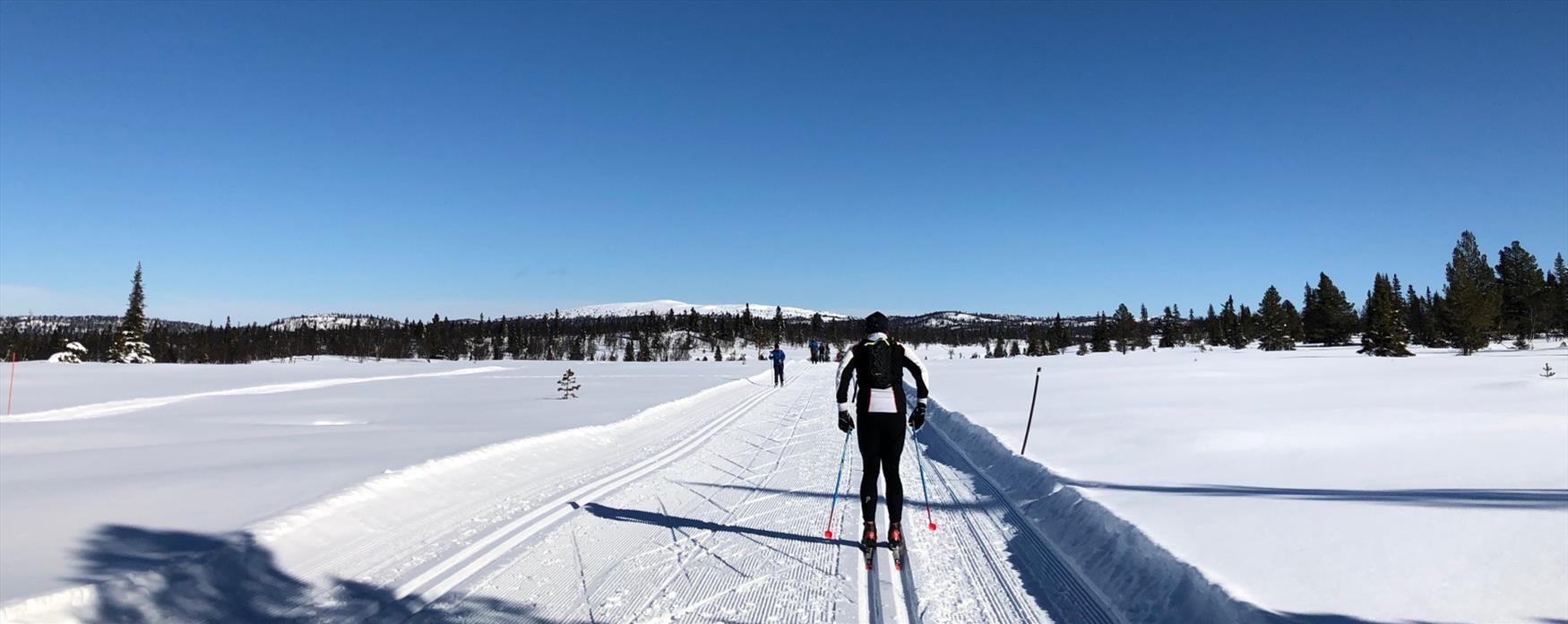 Cross Country Skiing in Ål