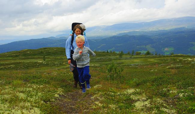 Skurvehovda Ål in Hallingdal