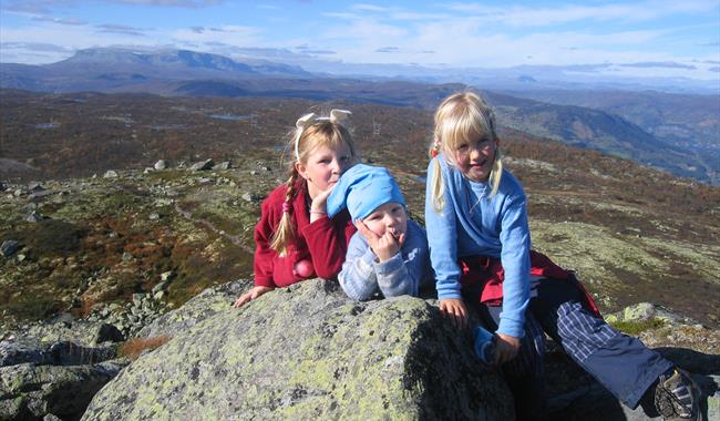 Sangenuten Ål in Hallingdal