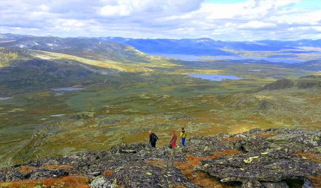 Lauvdalsbrea Ål in Hallingdal