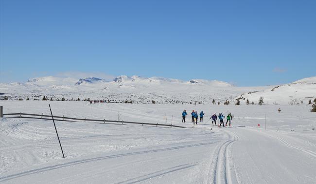 Folk på skitur I høyfjellslandskap