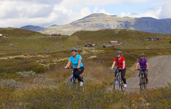 Sykkeltur i Bergsjøområdet