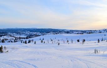 Primhovda nærmeste nabo til Ål Skisenter