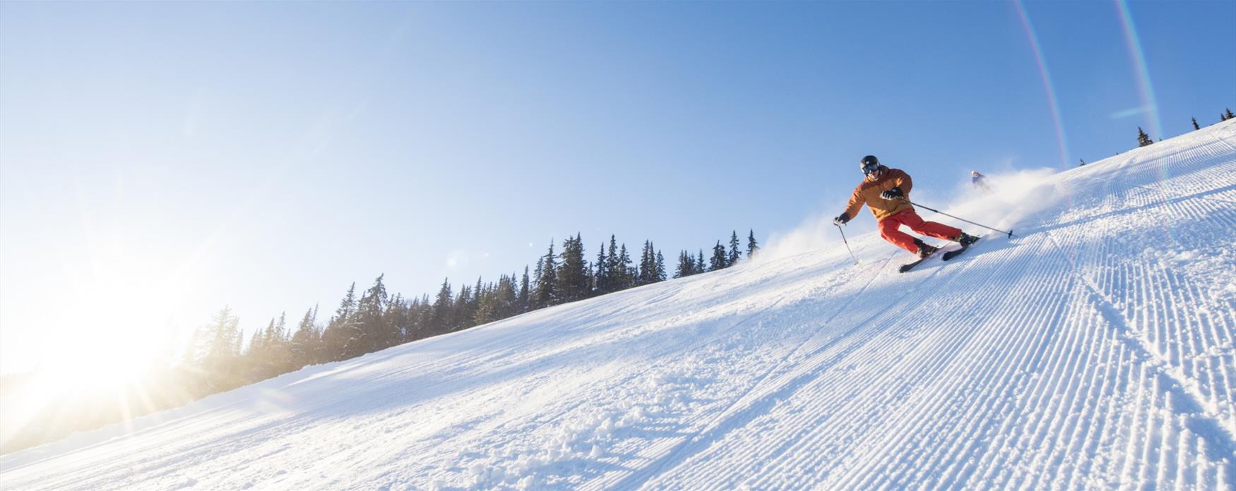 Downhill skiing in Ål