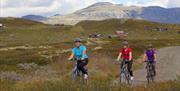 Sykkeltur i Bergsjøområdet