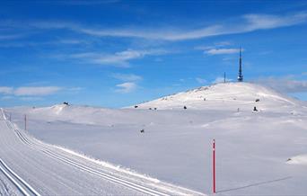 The Hallingdal track