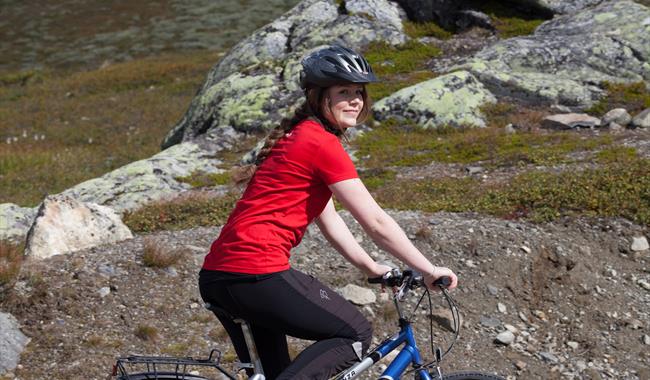 Bike trips Votndalsåsen Ål in Hallingdal