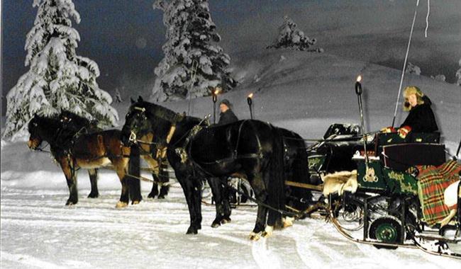 Horse drawn sleigh Ål in Hallingdal