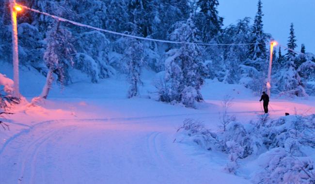 Flotte løyper til kveldstur