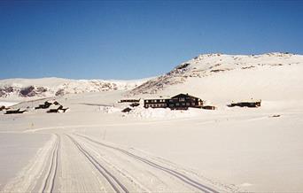 Flotte skispor med Bergsjøstølen i bakgrunnen