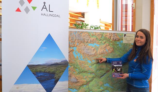 Maps and information Ål in Hallingdal