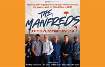 The Manfreds Tour Image