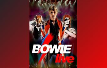 Bowie Live image