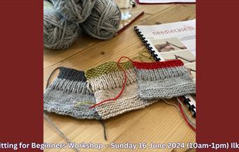 Mrs Duttons Wonderous Workshops: Knitting for Beginners Workshop image