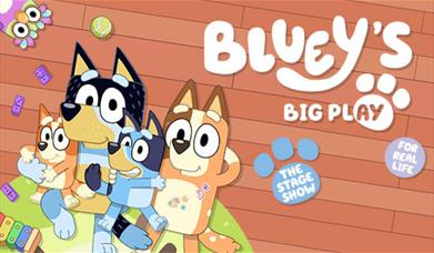 A picture of cartoon dog Bluey and his family
