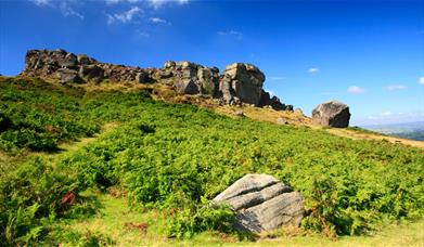 The iconic Cow and Calf Rocks on Ilkley Moor.