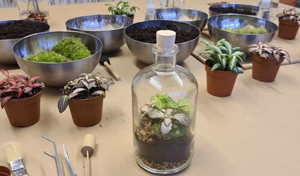 Create Your Own Bottle Terrarium