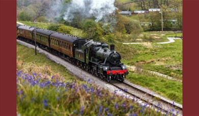 A picture of a steam train going through the countryside. There are bluebells in the foreground