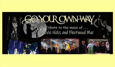A montage of Images of the Go Your Own Way tribute act