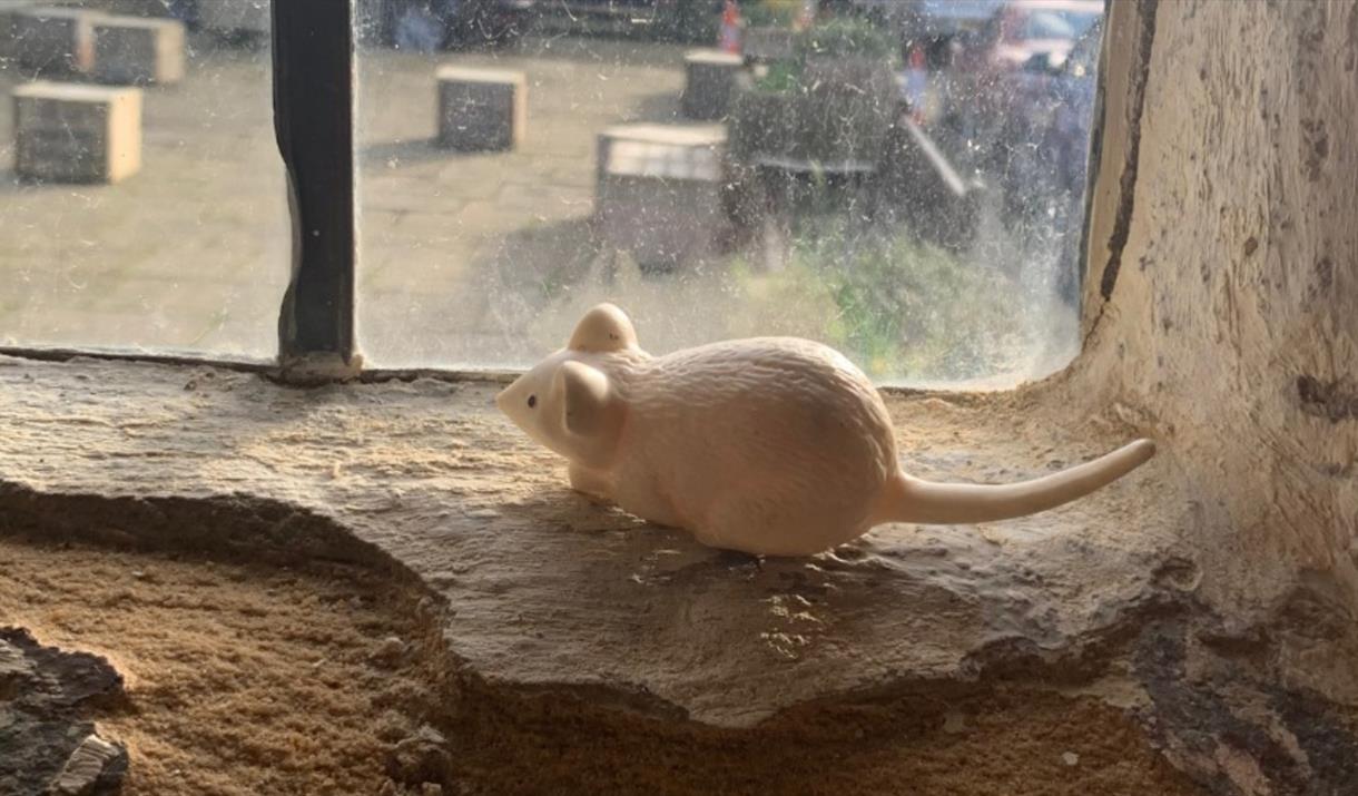 Toy Mouse looking through the window.