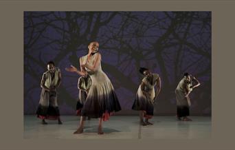 A group of dancers on a stage, in front of a backdrop of trees.