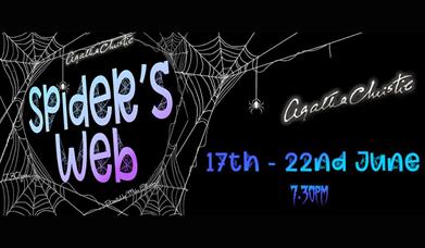 A poster advertising the show, with the Title "Spider's web" in the middle of some spider webs.