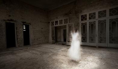 The Haunting, ghostly figure in a room.