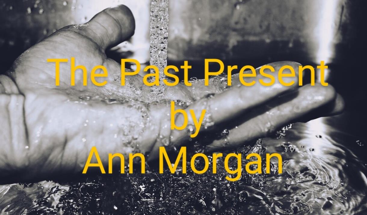 The Past Present by Ann Morgan