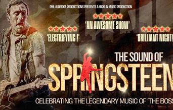 A poster advertising the show, showing a tribute artist performing as Bruce Springsteen